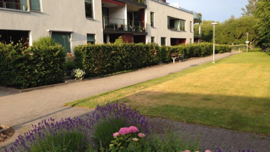 På sommaren blommar det på Högerudsgatan